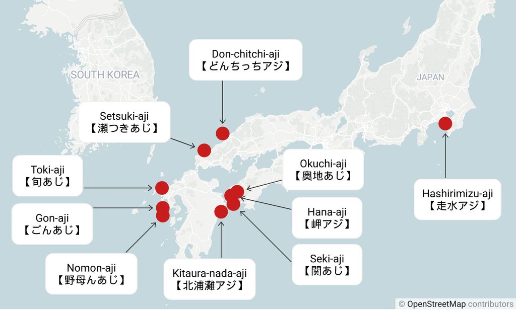 Karte von Japan, die verschiedene regionale Arten von Aji (Pferdemakrele) zeigt