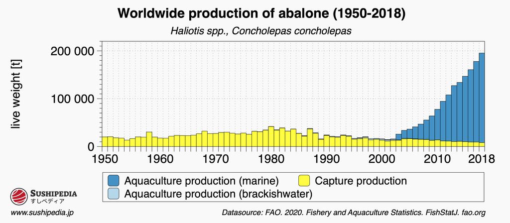 Diagram of global production of abalone (Haliotis spp., Concholepas concholepas) from 1950 to 2018, broken down by wild catch and aquaculture (marine and brackish water). [Source: FAO. 2020. Fishery and Aquaculture Statistics. FishStatJ. fao.org]