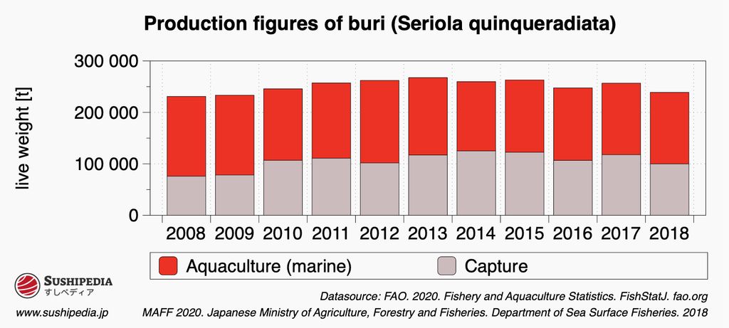 A bar chart showing the production figures for Buri, also known as Japanese amberjack, from 2008 to 2018. The chart differentiates between marine aquaculture (displayed in red) and wild capture (displayed in grey). The production is measured in live weight tons, with the scale on the left side ranging from 0 to 300,000 tons. The data source is credited to FAO 2020, Fisheries and Aquaculture Statistics and the Japanese Ministry of Agriculture, Forestry and Fisheries, Department of Sea Surface Fisheries, 2018.
