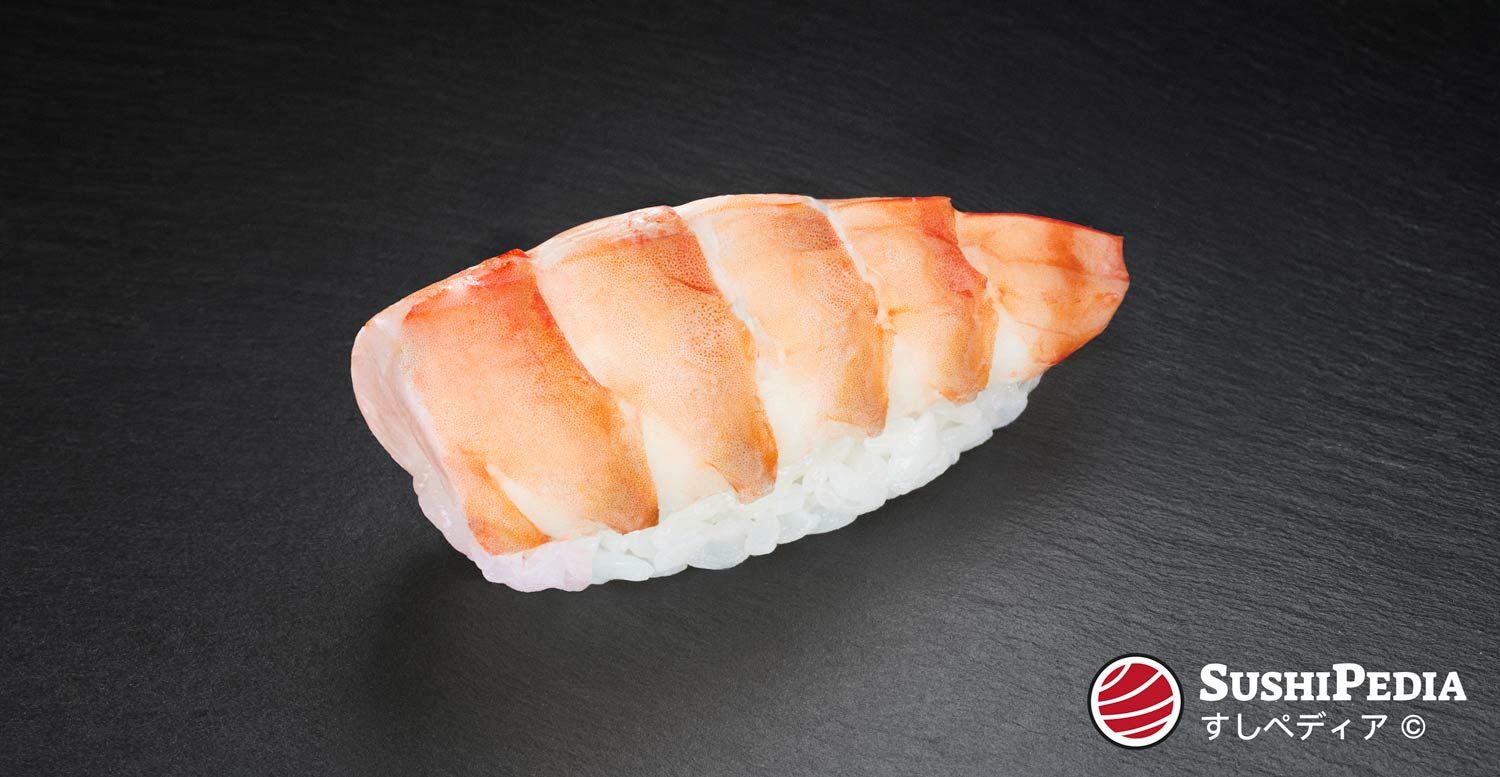 Foto eines frisch zu bereiteten Sushi (nigiri sushi) mit der Zutat, die den japanischen Namen Ebi trägt.