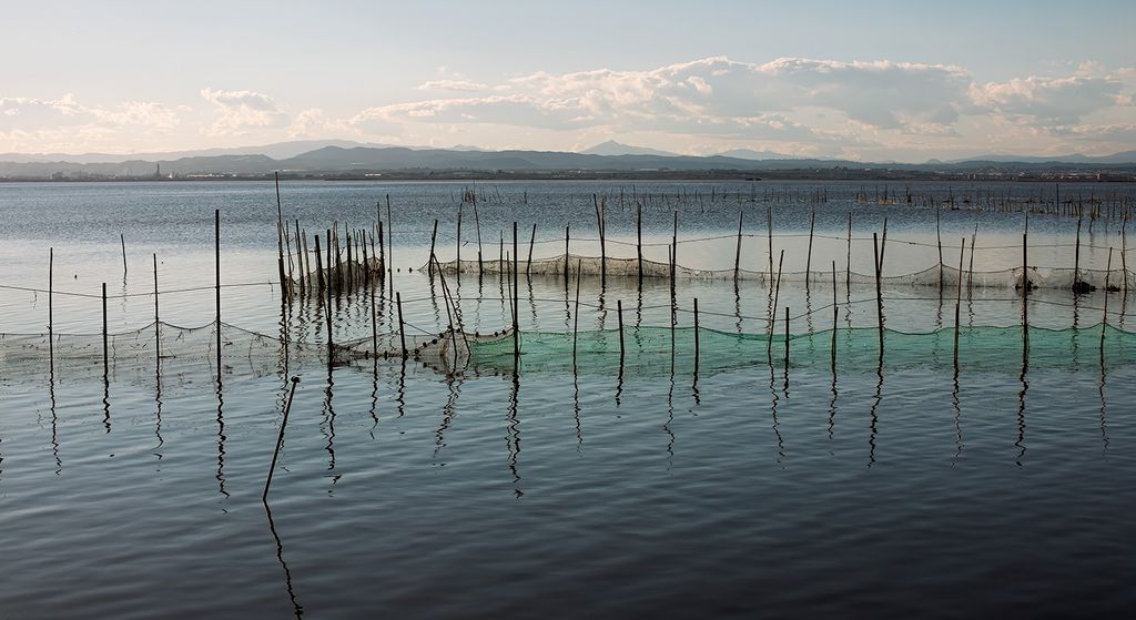 Süßwasserlagune mit Pfählen und Netzten, Habitat für Aale (jap. unagi), mit Bergen im Hintergrund.