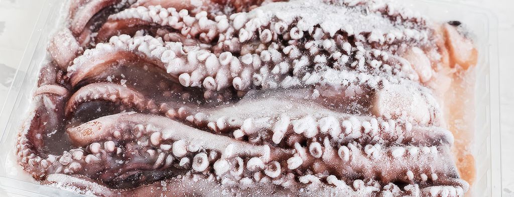 Frozen octopus tentacles in a plastic container. These tentacles are covered with a thin layer of ice, indicating storage at very low temperatures. They are ready for preparation and consumption after thawing.