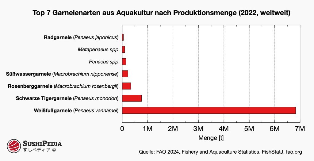 Balkendiagramm zeigt die fünf führenden Garnelenarten aus Aquakultur nach Produktionsmenge für das Jahr 2022, mit Penaeus vannamei an der Spitze, gefolgt von Penaeus monodon, Macrobrachium rosenbergii, Macrobrachium nipponense und Penaeus japonicus.