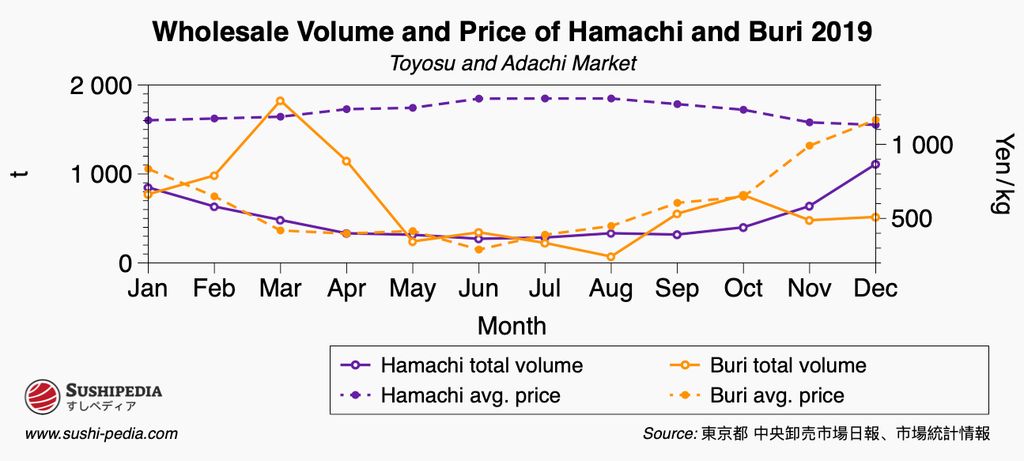A dual-axis line graph depicting the correlation between wholesale volume and average price for Hamachi and Buri at Toyosu and Adachi markets throughout 2019. The graph has two y-axes, with the left axis representing volume in tons and the right axis representing price in yen per kilogram. Lines for Hamachi total volume and average price are colored in purple, while those for Buri are in orange. Notable trends include a peak in Hamachi volume in March and a significant price fluctuation for Buri in the same period. The source is indicated as Toyosu and Adachi market data.