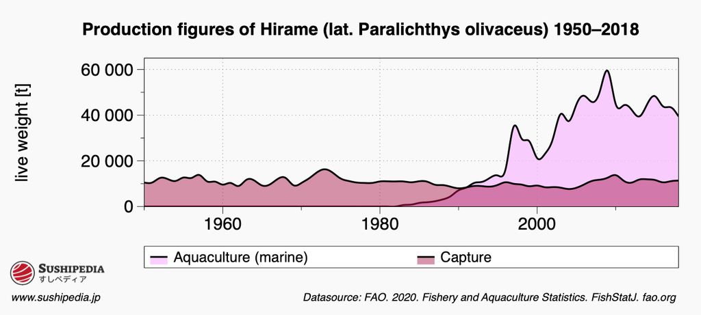 A graph illustrating the production figures of Hirame, known scientifically as Paralichthys olivaceus, from 1950 to 2018. The graph displays two types of production methods: aquaculture (marine) in pink and capture in dark pink. The live weight in tons is shown on the y-axis, starting from 0 up to 60,000 tons. The graph exhibits a steady rise in aquaculture production over the years with fluctuations in capture rates. The data source is attributed to FAO 2020, Fisheries and Aquaculture Statistics.