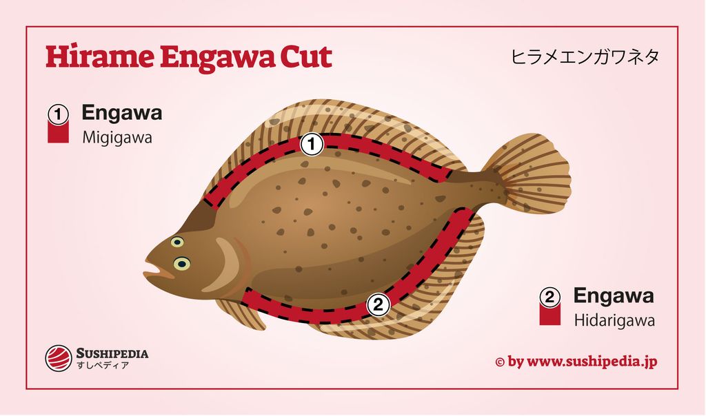 Illustration of a Hirame flatfish with marked Engawa sections Migigawa and Hidarigawa for sushi preparation.