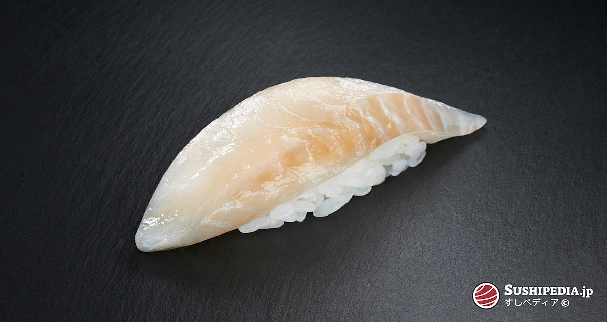 Foto eines frisch zu bereiteten Sushi (nigiri sushi) mit der Zutat, die den japanischen Namen Hirame trägt.