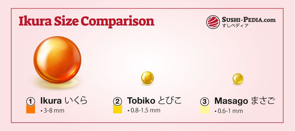 This graphic illustrates the varying sizes of key sushi ingredients Ikura, Tobiko, and Masago, with Ikura being the largest at 3-8 mm, followed by Tobiko and Masago.