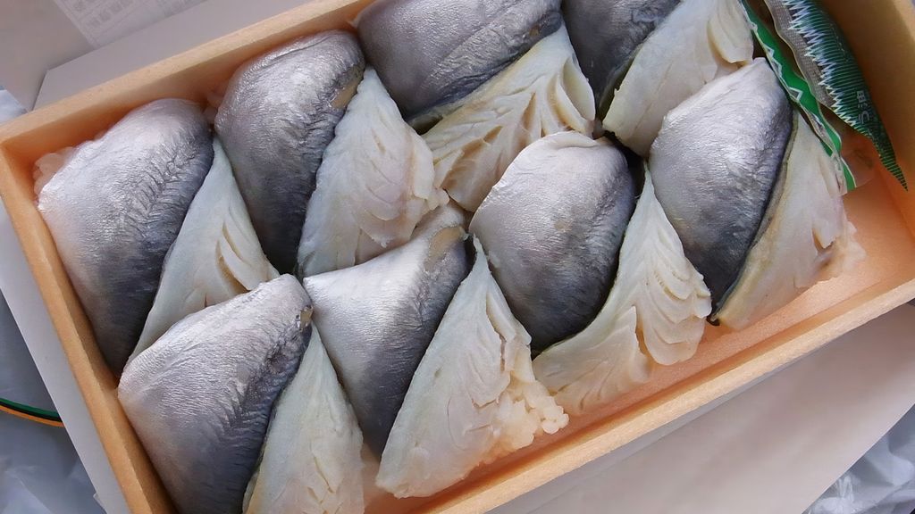 Box of ko-aji no oshizushi with silver-skinned small horse mackerel fillets pressed over rice in a traditional wooden mold.