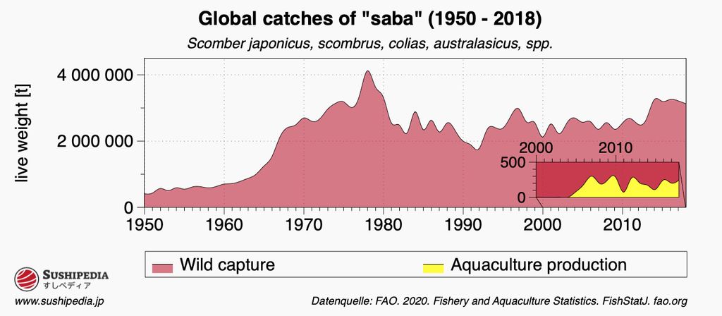 Informative graph from Sushipedia displaying the global catch volume of Saba Mackerel, detailing both wild catch and aquaculture from 1950 to 2018, with data source from FAO 2020.