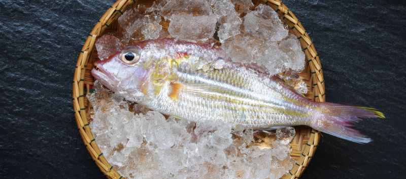 Frischer Fisch auf Eis in einem traditionellen Bambuskorb, bereit für die Zubereitung von Sushi und Sashimi. Frische und Sorgfalt sind das A und O für qualitativ hochwertiges Sushi.