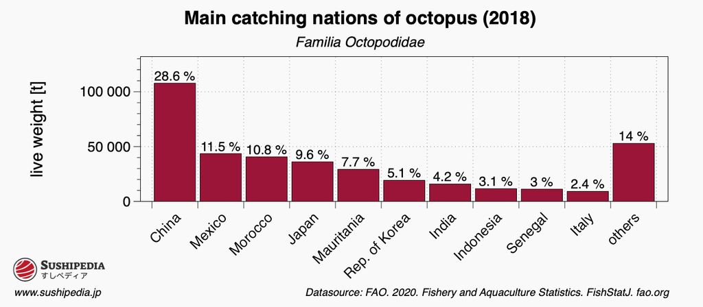 Bar chart showing major catching nations of true octopuses in 2018, with percentage and weight in tonnes for countries like China, Mexico, Morocco, and others.
