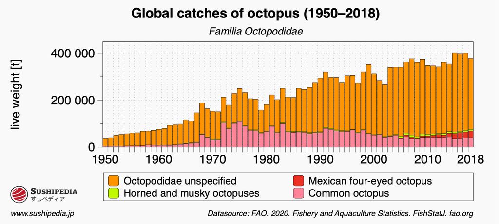 Bar chart of global capture volumes of True Octopuses (Family Octopodidae) from 1950 to 2018, categorized into unspecified octopuses, Mexican Four-eyed Octopuses, and Common Octopuses.