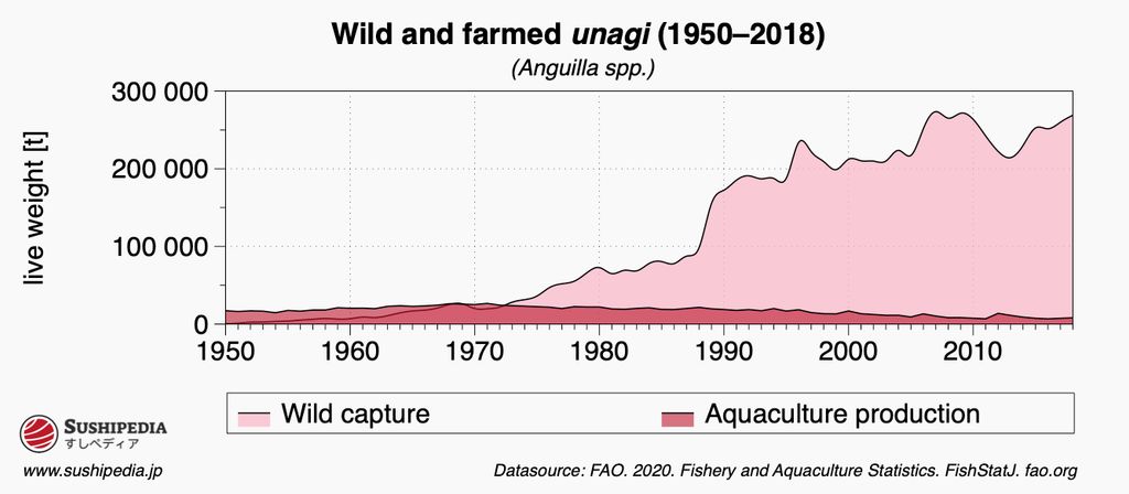 The image is a data graph illustrating the production of wild and farmed unagi, or eel (Anguilla spp.), from 1950 to 2018. The graph uses two colors to differentiate the sources: wild capture is marked in dark pink, and aquaculture production in light pink. It shows an overall trend of increasing reliance on aquaculture over time, with farmed production surpassing wild capture significantly from the 1990s onward. The y-axis represents the live weight in tonnes, demonstrating a peak in farmed unagi production around the 2000s. Data provided by the FAO 2020, Fishery and Aquaculture Statistics.