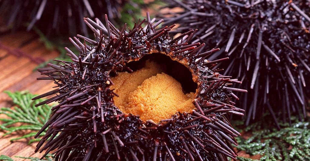 An open sea urchin displaying its yellow-orange gonads (uni). The urchin's spines are visible, and the gonads are presented on a green, plant-based surface.