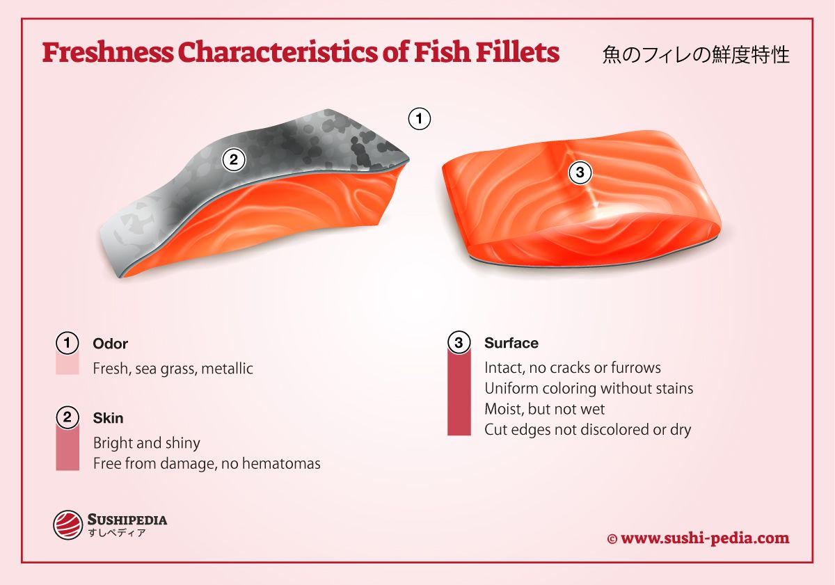 The graphic shows how to recognize fresh fish fillets.