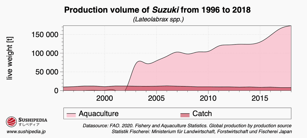 Chart showing the catch numbers of suzuki.