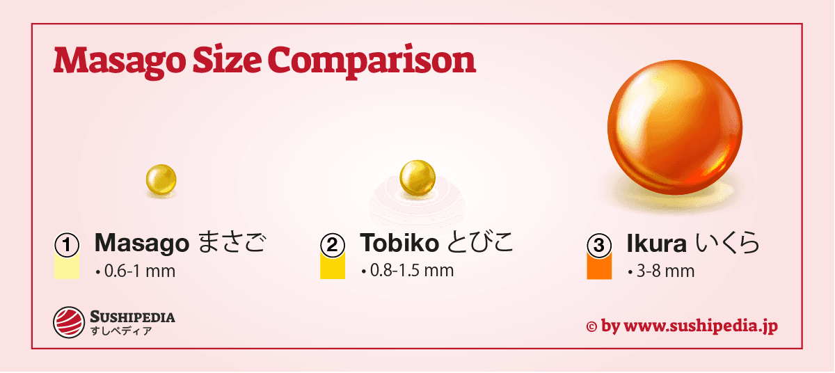 The illustration compares the most important roe for sushi in size.