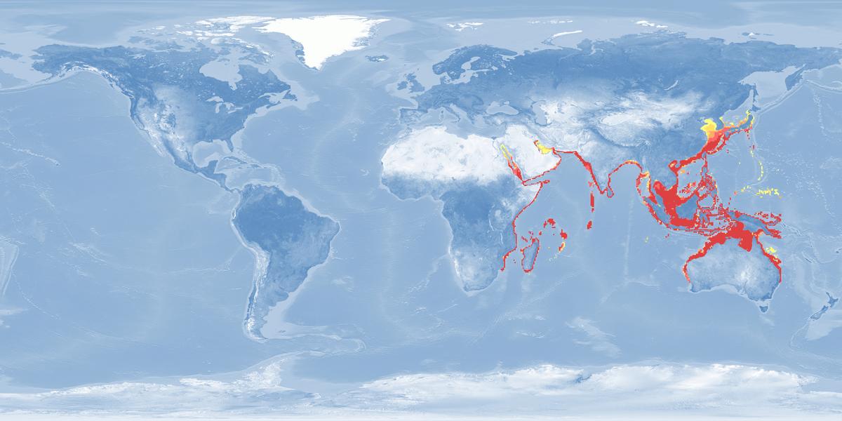 Distribution Area of longtail tuna