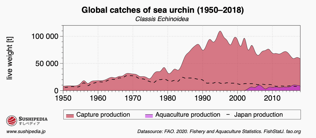 Chart which shows the distribution and progression of the catch of sea urchins (jap. uni).