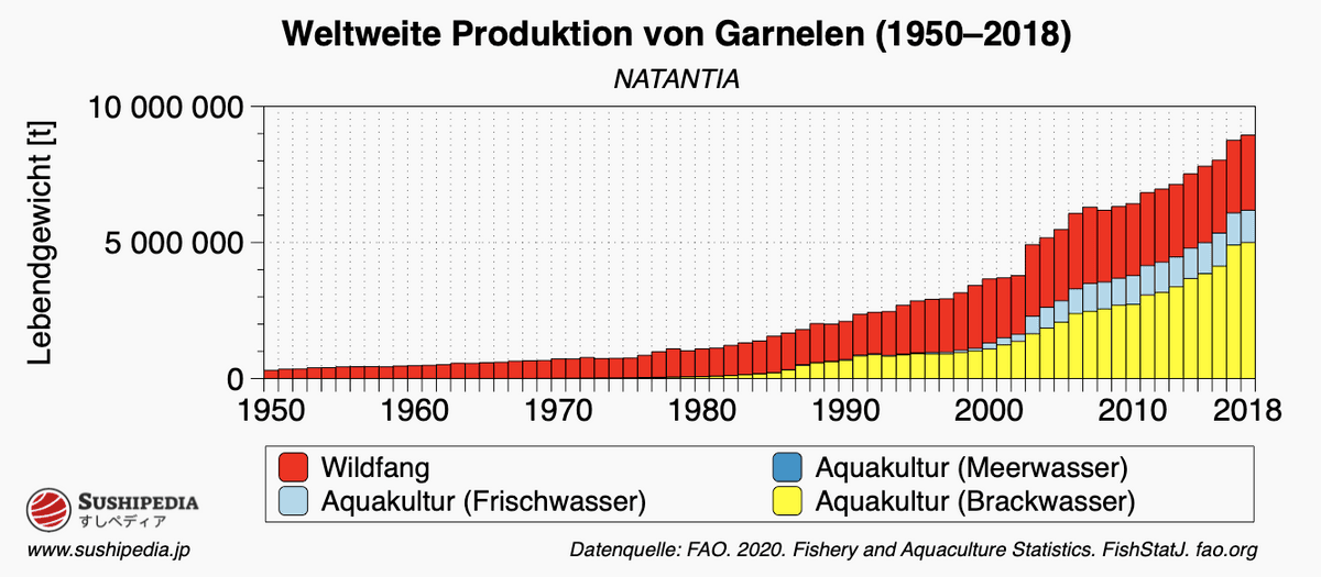 Das Diagramm zeigt die weltweite Fangmenge von Garnelen und Schrimp (Natantia).
