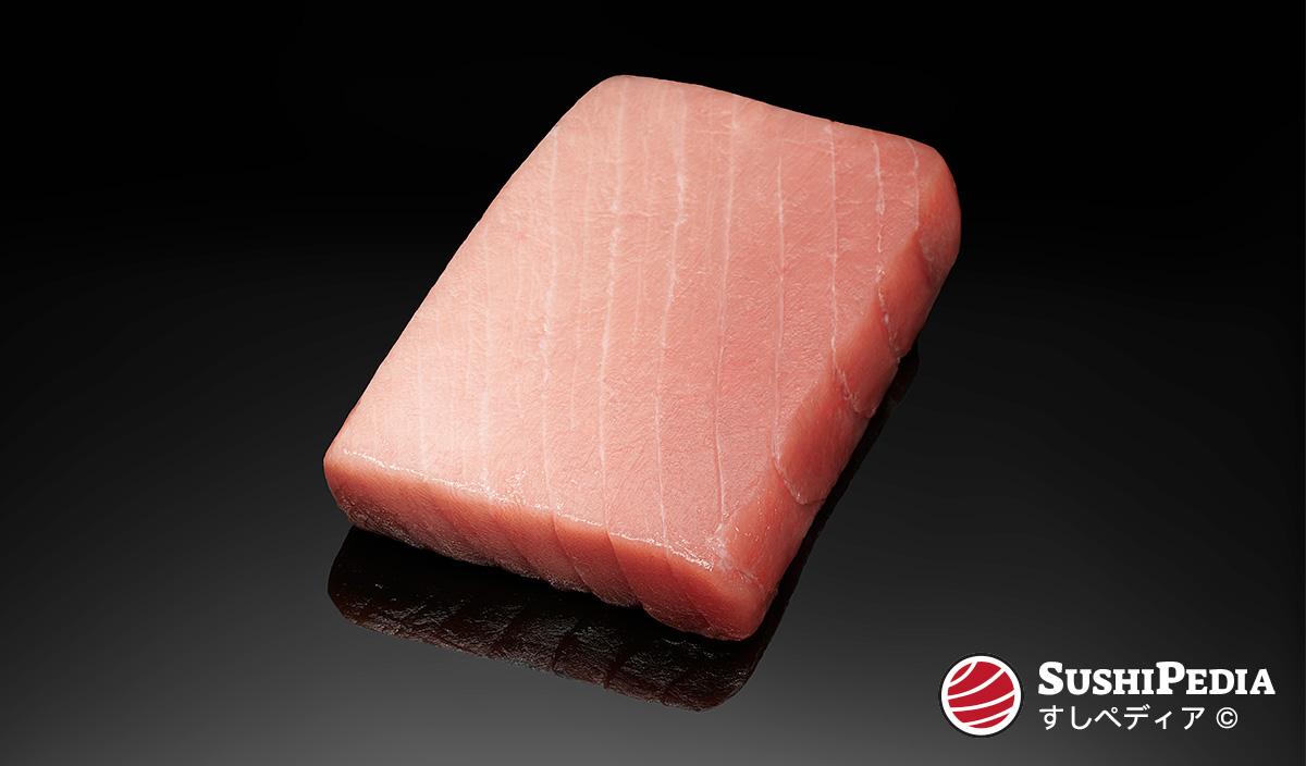 Ein typischer Block (jap. saku), wie er für die Zubereitung von Sushi oder Sashimi verwendet wird, aus mittelfettem Thunfischfleisch liegt auf einer schwarzen Spiegelplatte. Sie können deutlich sehen, wie sich der Fettgehalt von mager zu fett ändert.